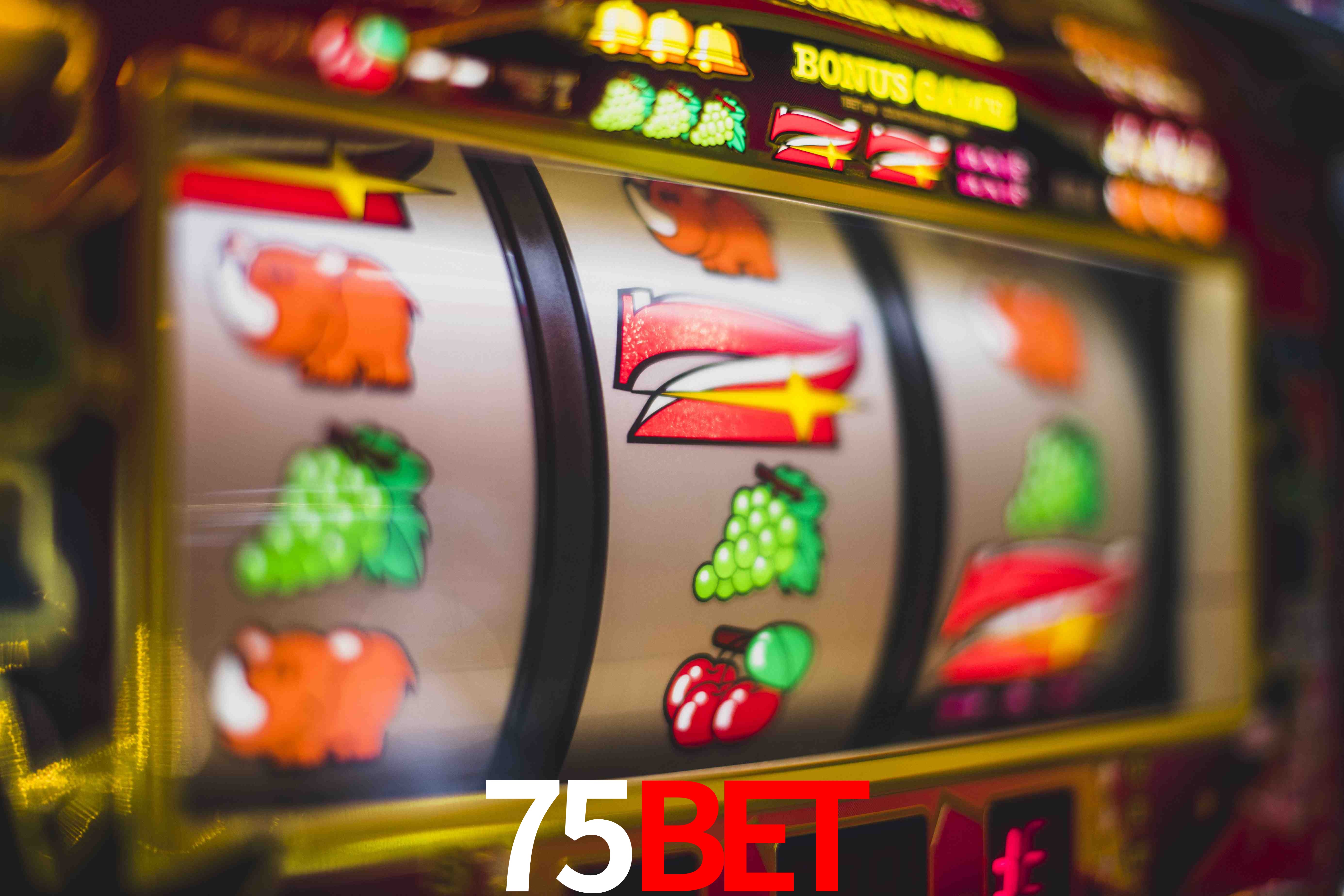 VIP Casino 75bet